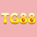 tg88snet